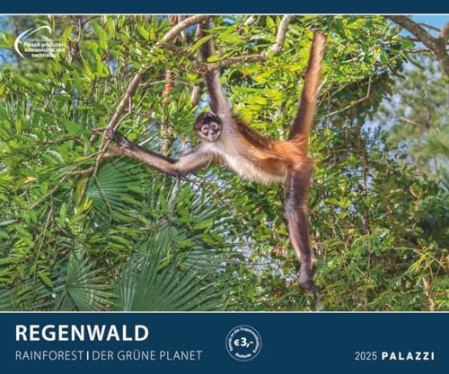 PALAZZI - Regenwald 2025 Wandkalender, 60x50cm, Posterkalender mit majestätischen Aufnahmen aus der grünen Wildnis, hochwertige Fotografie, eine Reise in die Tropen