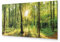 B&D XXL - Tableau décoratif paysage 120x40 cm - Impression sur toile colorée - Décoration murale pour salon et chambre - Lueur arbres paysage forêt nature plantes soleil vert c-B-0184-b-a