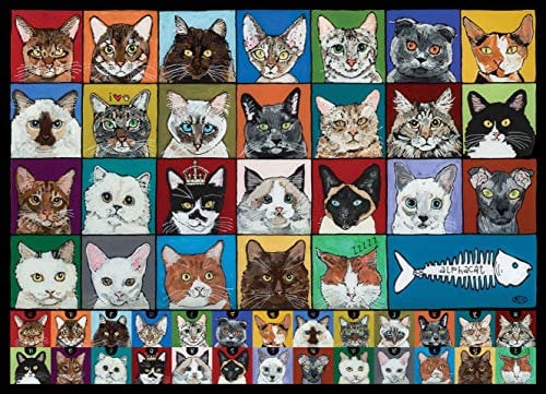 Alphacats 1000 Teile Puzzle