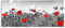 Pixxprint Glasbild Panorama, Wandbild aus Echtglas, schöner rot leuchtender Mohn, 100x40 cm, inkl. Aufhängung und Abstandshalter