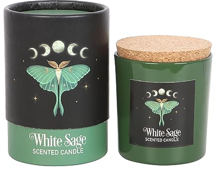 Luna Motte Weißer Salbei Kerze – Heilige Kreaturen in dunklen Waldreichen | veganes Paraffinwachs | 25 Stunden Brenndauer | beruhigende Aromatherapie für Zuhause