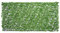 Outsunny Rotolo di Siepe Finta per Balcone e Giardino in PE, Siepe Artificiale con Foglie di Edera Verdi 300x150cm