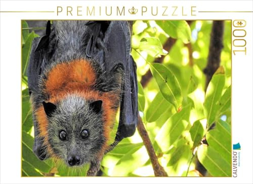 CALVENDO Puzzle Flughund | 1000 Teile Lege-Größe 64 x 48 cm Foto-Puzzle für glückliche Stunden