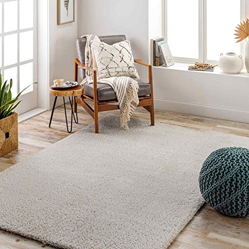 Livabliss Shaggy Rug Shaggy Berber Teppich - Flauschiger Teppich für Wohnzimmer, Esszimmer, Schlafzimmer, Langflor Hochflor Teppich flauschig - Teppich groß 160x213 cm, Wohnzimmerteppich in Beige