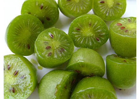 KIWI ARGUTA ISSAI AUTOFERTILE 2 ANNI, VASO 2 LITRI 70-80 CM