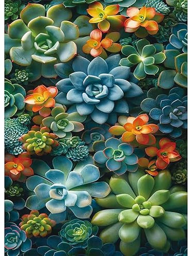 Diamond Painting Set für Erwachsene-Sukkulente Diamond Painting Kits,5D Sukkulente Diamant Malerei Set,Sukkulente DIY Diamantmalerei Basteln Bilder Arts als Geschenk für Home Wand Décor 30x40cm