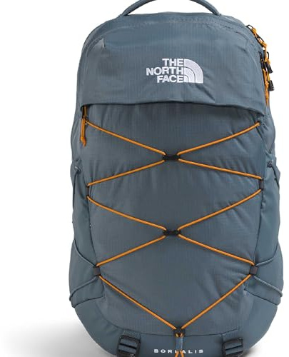 The North Face Unisex Borealis Classic Rucksack (1er Pack)