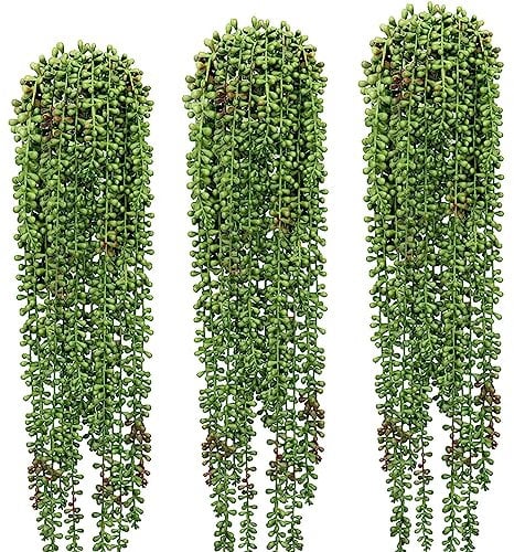 SzJias Aonelas 3 Stück Perlenschnur, künstliche hängende Sukkulenten für Zuhause, Garten, Dekoration (Töpfe Nicht im Lieferumfang enthalten), GH-H37