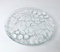 Generico Lot de 6 assiettes à fruits et desserts en verre transparent avec fruits incrustés en relief - Diamètre 18 cm