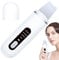 Skin Scrubber,Ultrasonic Skin Spatula for Face | Reusable Facial Pore Cleaner, Comedone Extractor, Beauty Instrument for Forehead, Facial and Nose