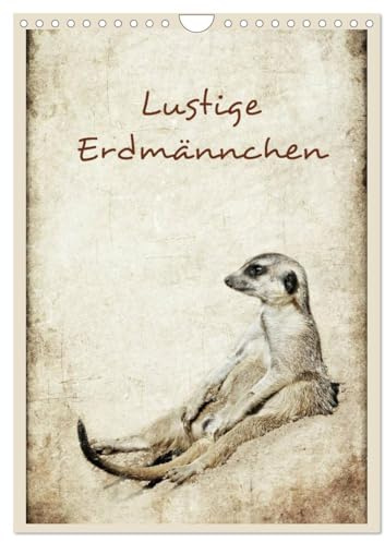 Lustige Erdmännchen (Wandkalender 2026 DIN A4 hoch), CALVENDO Monatskalender: Erdmännchen humorvoll präsentiert (CALVENDO Tiere)