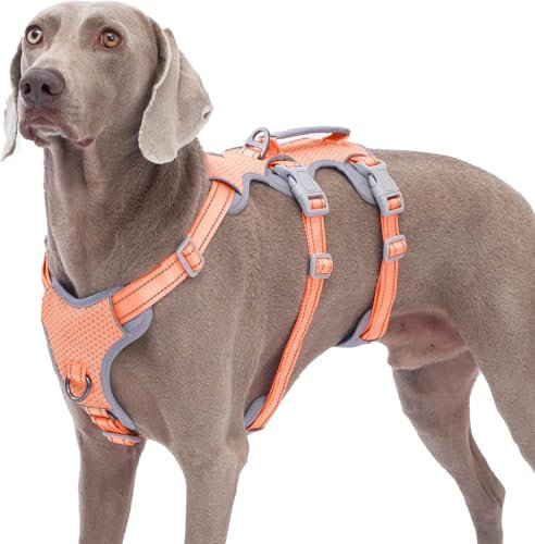 Huntboo Fluchtgeschirr für Hunde,Hundegeschirr ohne Entweichen, Hundegeschirr ohne Ziehen für Große Hunde mit Griff,Reflektierend,Haltbar,Verstellbare Weste für Spaziergänge, Training (Orange,XL)