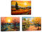 Piy Painting Cuadro en lienzo de Paisaje, Vista del amanecer, Foto Pintura al óleo Impresiones sobre Lienzo con Marco Interior para Dormitorio, Sala de yoga, 40x30 cm (3 unids/set)