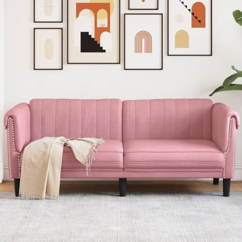 Qnhdfrt Rosa Samt Zweisitzer Sofa Komfortables Modernes Design für Wohnzimmer Küche Jugendzimmer