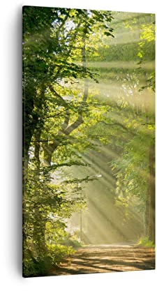 Moderne Impression sur Toile 55x100cm Image Tableau Decoration Murale forêt arbre nature Grand Tableaux Decoratifs Muraux Chambre Cuisine Vertical Deco Cadre Salon Art Wall Decor Design PA55x100-3661