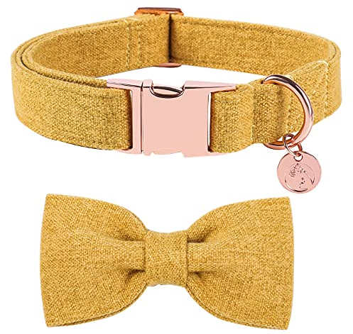 DOGWONG Hundehalsband mit Abnehmbarer Fliege, Gelb Haustierhalsband Hundefliege Geschenk für Mädchen oder Jungen Hunde, Bequeme verstellbares Hundehalsband für kleine mittelgroße Hunde