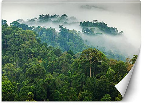 Feeby Papier Peint Intissé Forêt dans la Brouillard 400x280 cm vert XXL Moderne Décoration Murale Tableaux Muraux Tapisserie Salon Chambre à coucher Paysage Nature