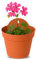 TECHZOCO Macetero con Soporte de Pared, Maceta Redonda plástico, Tiesto Colgar Flores, Fabricado en Polipropileno, Recipiente Pared para Flores, 17 cm diámetro x 10.7 cm Base x 19 cm Alto, Terracota