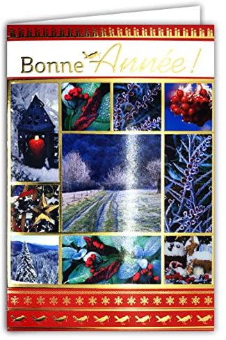 Afie Glückwunschkarte Happy Year, goldfarben, glänzend, mit Umschlag Vogel, Rotkehlchen, Natur im Winter, Schneeflocken, Garten, Wald, Tannenbäume, rote Beeren, Kerze, Laterne, Wünsche 61-4053-A BA