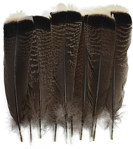 RAEF 10 Teile/los Natürliche Adler Vögel Feder Dekor Lange Große Türkei Federn für Handwerk Plumas Karneval Zubehör Hochzeit Dekoration
