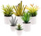 Gresorth 6er Set Groß Künstliche Sukkulenten Pflanze Dekoration in Töpfen Gefälschte Agave Geleebohne Sukkulente Kaktus Aloe Eingetopft Bonsai Verzierung Schreibtisch Gaststätte