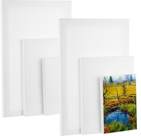 Juego de 6 lienzos pequeños para pintar, 10 x 15 cm, 15 x 20 cm, 20 x 30 cm, lienzo de algodón, lienzo blanco, lienzos para pinturas acrílicas, acuarela, aceite, gouache y artistas