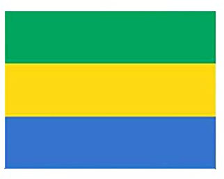 Stormflag Drapeau Gabon (90 cm x 150 cm) pongee polyester 90 g avec cousu.