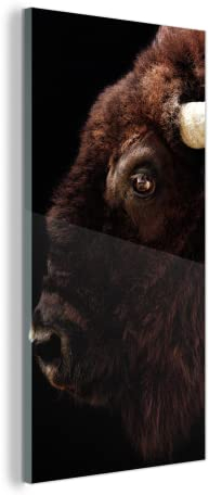 MuchoWow Glasbild Glasfoto Wandbild Bilder Deko 60x120 cm Bison - Horn - Porträt