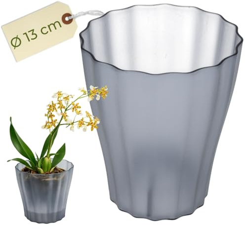 Orchideentopf Transparent Orchideen Übertopf Orchideentopf Plastik mit erhöhtem Boden Blumentopf Innen mit Stufenboden Durchsichtige Pflanztöpfe Ø 13 cm Rauchfarbig