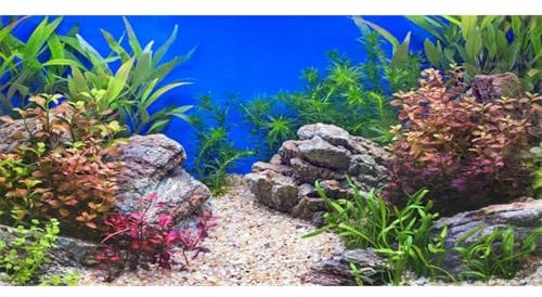 AWERT 36x20 inches Aquatic Plant Fish Tank Background Stone River Bed & Lake Aquarium Background Vinyl