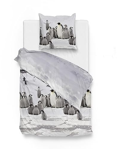 Traumschloss Classic Flanell Wende-Bettwäsche »Tadzio« Pinguine, 200x200 & 80x80, 100% Baumwolle, wärmend & kuschelig, mit Reißverschluss, bestehend aus Kissen und Bettbezug