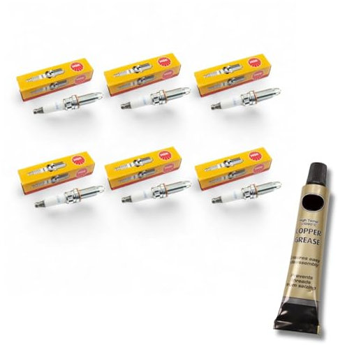 6x Zündkerzen von NGK passt für BMW 6er e63 / e64 630Ci 272PS Bj. 2007-2011 + Kupferfett