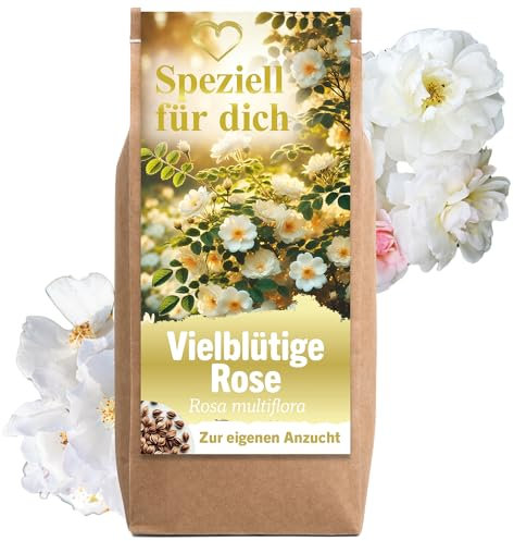 Geschenke für Frauen Geschenke für Männer Blumen Samen Anzuchtset Geburtstagsgeschenk für Frauen dankeschön geschenke Mutter tochter geschenk hochzeit geschenk für Freundin Vielblütige Rose