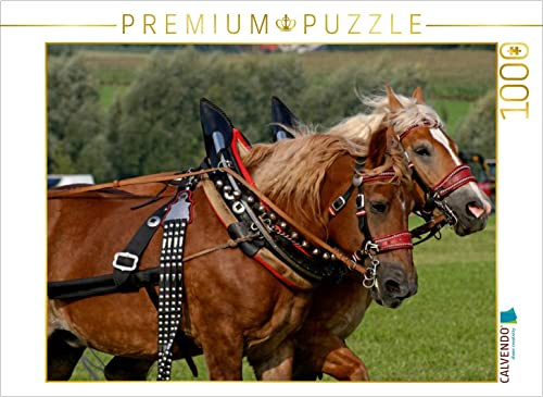 CALVENDO Puzzle Kaltblutgespann | 1000 Teile Lege-Größe 64 x 48 cm Foto-Puzzle für glückliche Stunden