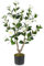 COSTWAY Camelia Plantas Artificiales Decorativas 90 cm, Planta Falsa con Flores en Maceta de Vivero, Árbol de Flores Artificiales de Decoración para Hogar Salón Porche (Blanco)