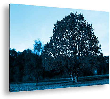 deyoli wunderschöner Laubbaum im Herbst Format 80x60 Effekt: Monocrome Blau als Leinwandbild, Motiv fertig gerahmt auf Echtholzrahmen, Hochwertiger Digitaldruck mit Rahmen