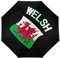 Welsh Flag Folding Umbrella Compact Travel Umbrella Portable Umbrella for Men Women Rain Umbrellas Automatic
