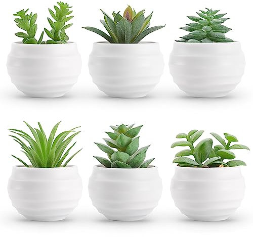 Der Rose Lot de 6 mini plantes succulentes artificielles pour maison de ferme, cuisine, salle de bain, chambre à coucher, bureau, bibliothèque, décoration intérieure