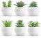 Der Rose Lot de 6 mini plantes succulentes artificielles pour maison de ferme, cuisine, salle de bain, chambre à coucher, bureau, bibliothèque, décoration intérieure