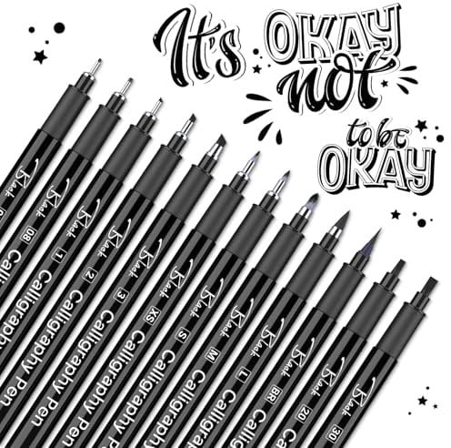 YYSHUS Kalligraphie Stifte, Handlettering Stifte, 12 Größen Schwarz Kalligraphie Set, Für Anfänger Übung Lettering Unterschrift Schreiben, Zeichnen Tagebuch DIY-Kreation, Geschenke