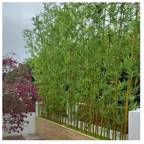 künstlicher bambus Künstlicher BambusTrennwand Sichtschutzzaun, Außenbereich Bambus Pflanze Künstlich Shop Dekoration Für Innenhof Eingang Terrasse Ornamental, 100 150 180 200 CM Hoch Bambusgras(1.8m,