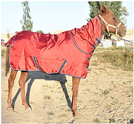 Winter Dicke Pferdedecke Pferd Turnout Outdoor-Decke Mit Hals Wasserdicht Und Atmungsaktiv,Rot(Size:165cm)