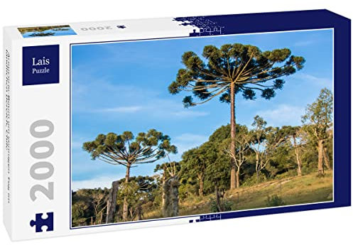Lais Puzzle Arbre Araucaria par Une journée ensoleillée en Zone Rurale, Chili 2000 pièces