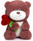 BEJOY Teddybär Plüsch-Bär Teddy mit Herz Rose, Plüschtiere Liebe Valentinstag Bär, Stofftier Spielzeug Plüschtier Kuscheltier Geschenke für Freundin Kinder Geburtstag, Valentinstag(Rosarot,40cm)