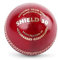 SG Club Cricketball, Leder, Standardgröße