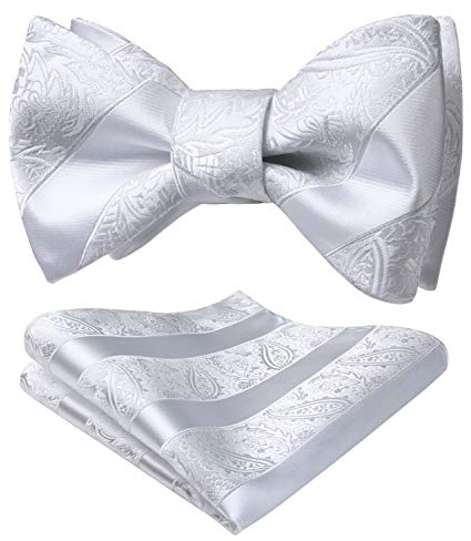 HISDERN Fliegen für Herren Weip Fliege mit Einstecktuch Klassische Paisley Selbstgebundene für Bräutigam Hochzeit Party Fasching Smoking