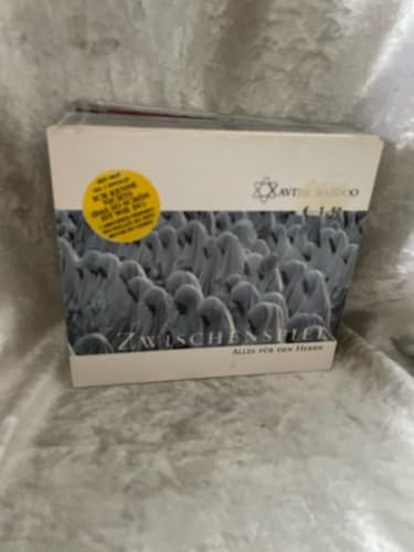 Zwischenspiel/Alles für den Herrn (ltd. ed. mit hidden Track Ich kenne nichts!)