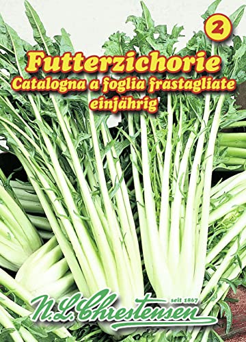 Futterzichorie N.L.Chrestensen Samen 28070113