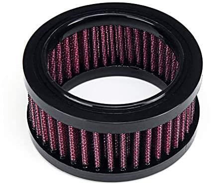 Nuova Moto Filtro Aria Filtro di Aspirazione Accessori di Sistema for Harley-Davidson Sportster 883 1200 1991-2016 Ferro 883 2009-2016 (Color : A)
