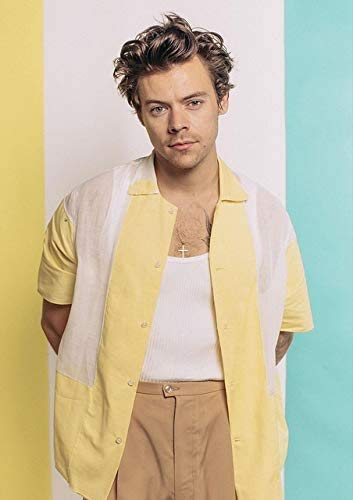 DVBQQWE 5D Diamond Painting Kits für Erwachsene Harry Styles Diamond Art Paint with Diamonds DIY Painting Kit Malen nach Zahlen mit Gem Art 30,5 x 40,6 cm